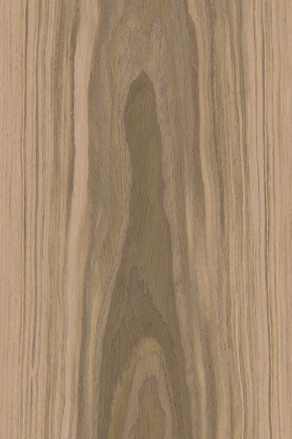 Veneer kayu jati Black Walnut Crown Cut veneer kayu WALNUT#668C